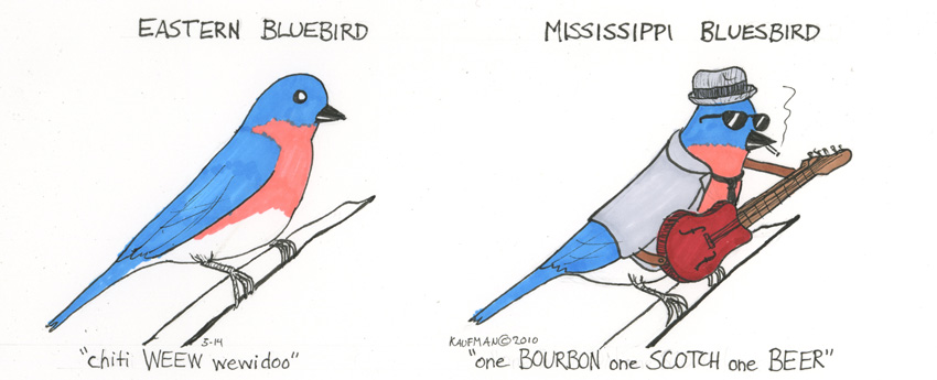 Know More Birds